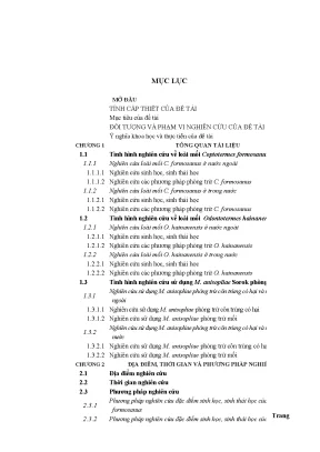 Luận án tiến sĩ hus nghiên cứu đặc điểm sinh học sinh thái học của coptotermes formosanus shiraki odontotermes hainanensis light và sử dụng chế phẩm từ metarhizium anisopliae metsch sorok phòng trừ chúng
