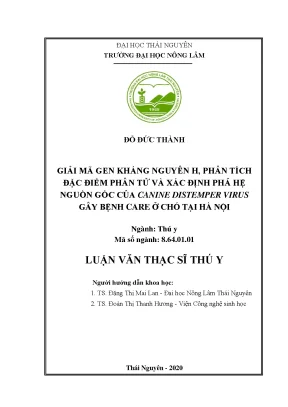 Luận văn thạc sĩ hay giải mã gen kháng nguyên h phân tích đặc điểm phân tử và xác định phả hệ nguồn gốc của canine distemper virus gây bệnh care ở chó tại hà nội