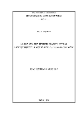 Luận văn thạc sĩ hus nghiên cứu biến tính phụ phẩm từ cây đay làm vật liệu xử lý một số kim loại nặng trong nước