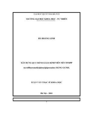 Luận văn thạc sĩ hus xây dựng quy trình giám định viên nén tfmpp m trifluoromethylphenylpiperzazine bằng gc ms