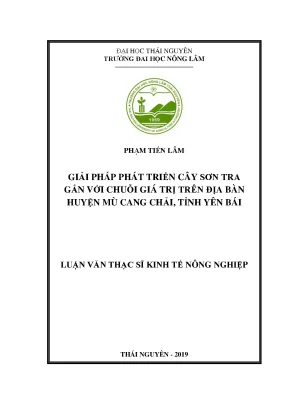 Luận văn thạc sĩ hay giải pháp phát triển sơn tra gắn với chuỗi giá trị trên địa bàn huyện mù cang chải tỉnh yên bái