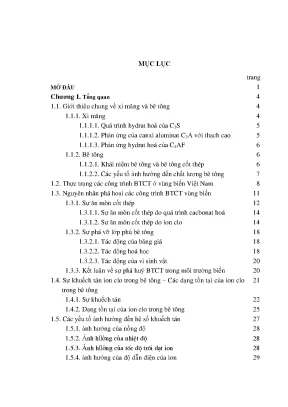 Luận án tiến sĩ hus ứng dụng mô hình tang luping olofnilsson để khảo sát sự khuếch tán ci trong bê tông và nghiên cứu ảnh hưởng của phụ gia đến quá trình này