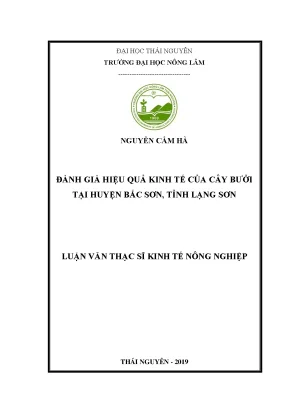 Luận văn thạc sĩ hay đánh giá hiệu quả kinh tế của cây bưởi tại huyện bắc sơn tỉnh lạng sơn