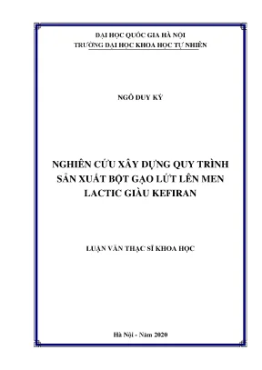 Luận văn thạc sĩ hus nghiên cứu xây dựng quy trình sản xuất bột gạo lứt lên men lactic giàu kefiran