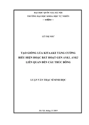 Luận văn thạc sĩ hus tạo giống lúa kitaake tăng cường biểu hiện hoặc bất hoạt gen ank1 ank2 liên quan đến cấu trúc bông