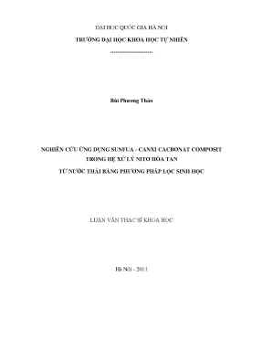 Luận văn thạc sĩ hus nghiên cứu ứng dụng sunfua canxi cacbonat composit trong hệ xử lý nitơ hòa tan từ nước thải bằng phương pháp lọc sinh học