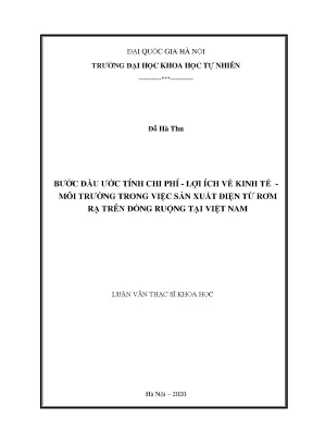 Luận văn thạc sĩ hay bước đầu ước tính chi phí lợi ích về kinh tế môi trường trong việc sản xuất điện từ rơm rạ trên đồng ruộng tại việt nam