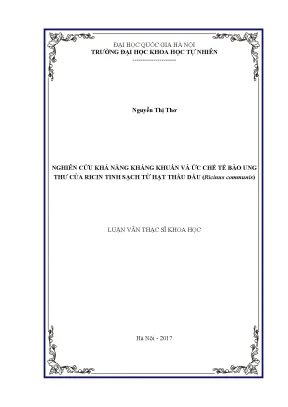 Luận văn thạc sĩ hus nghiên cứu khả năng kháng khuẩn và ức chế tế bào ung thư của ricin tinh sạch từ hạt thầu dầu ricinus communis