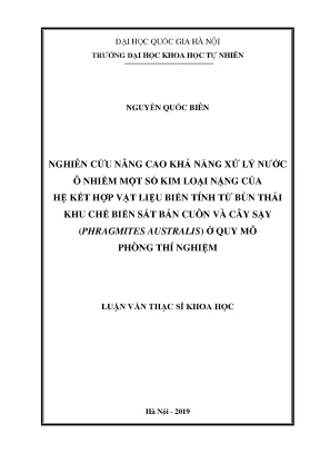 Luận văn thạc sĩ hus nghiên cứu nâng cao khả năng xử lý nước ô nhiễm một số kim loại nặng của hệ kết hợp vật liệu biến tính từ bùn thải khu chế biến sắt bản cuôn và cây sậy