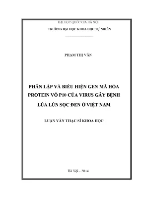 Luận văn thạc sĩ hus phân lập và biểu hiện gen mã hóa protein vỏ p10 của virus gây bệnh lúa lùn sọc đen ở việt nam luận văn ths sinh học thực nghiệm 60 42 01 14
