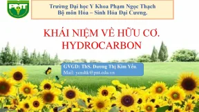 Hydrocarbon rhm2022