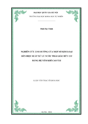 Luận văn thạc sĩ hus nghiên cứu ảnh hưởng của một số kim loại đến hiệu suất xử lý nước thải giàu hữu cơ bằng hệ yếm khí cao tải
