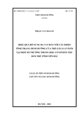 Luận án tiến sĩ hiệu quả bổ sung đa vi chất tới cải thiện tình trạng dinh dưỡng của trẻ gái 11 13 tuổi tại một số trường phổ thông dân tộc bán trú trung học cơ sở tỉnh yên bái