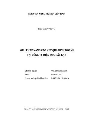 Luận văn thạc sĩ vnua giải pháp nâng cao kết quả kinh doanh tại công ty điện lực bắc kạn