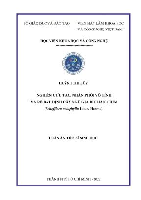 Luận án tiến sĩ nghiên cứu tạo nhân phôi vô tính và rễ bất định cây ngũ gia bì chân chim schefflera octophylla lour harms