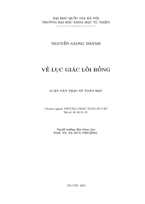 Luận văn thạc sĩ hus về lục giác lồi rỗng