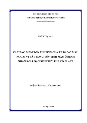 Luận văn thạc sĩ hus các đặc điểm tổn thương của tế bào ở máu ngoại vi và trong tủy sinh máu ở bệnh nhân rối loạn sinh tủy thể có blast
