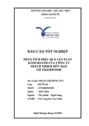 Khóa luận tốt nghiệp phân tích hiệu quả sản xuất kinh doanh công ty tnhh gỗ tigerwood