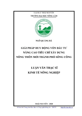 Luận văn thạc sĩ hay giải pháp huy động vốn đầu tư nâng cao tiêu chí xây dựng nông thôn mới thành phố sông công