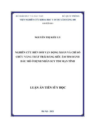 Luận án tiến sĩ nghiên cứu biến đổi vận động xoắn và chỉ số chức năng thất trái bằng siêu âm tim đánh dấu mô ở bệnh nhân suy tim mạn tính