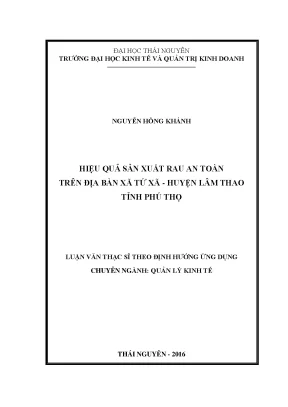Luận văn thạc sĩ hay hiệu quả sản xuất rau an toàn trên địa bàn xã tứ xã huyện lâm thao tỉnh phú thọ