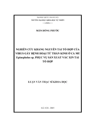 Luận văn thạc sĩ hus nghiên cứu kháng nguyên tái tổ hợp của virus gây bệnh hoại tử thần kinh ở cá mú epinephelus sp phục vụ sản xuất vắc xin tái tổ hợp 07