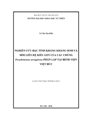 Luận văn thạc sĩ hus nghiên cứu đặc tính kháng kháng sinh và mối liên hệ kiểu gen của các chủng pseudomonas aeruginosa phân lập tại bệnh viện việt đức