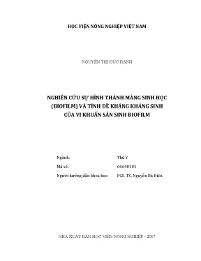 Luận văn thạc sĩ vnua nghiên cứu sự hình thành màng sinh học biofilm và tính đề kháng kháng sinh của vi khuẩn sản sinh biofilm