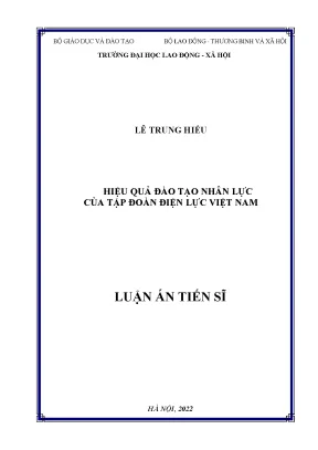 Luận án tiến sĩ hiệu quả đào tạo nhân lực của tập đoàn điện lực việt nam