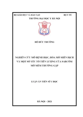 Luận án tiến sĩ nghiên cứu mô bệnh học hóa mô miễn dịch và một số yếu tố tiên lượng của sarcôm mô mềm thường gặp