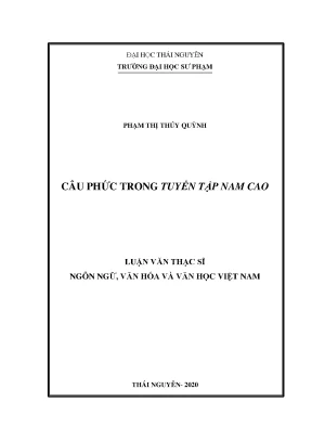 Luận văn thạc sĩ hay câu phức trong tuyển tập nam cao