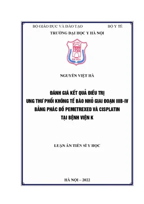 Luận án tiến sĩ đánh giá kết quả điều trị ung thư phổi không tế bào nhỏ giai đoạn iiib iv bằng phác đồ pemetrexed cisplatin tại bệnh viện k