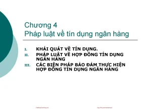 Phap luat tai chinh ngan hang dinh xuan cuong c4 pltd lnh cuuduongthancong com
