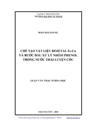 Luận văn thạc sĩ hay chế tạo vật liệu bimetal fe cu và bước đầu xử lý nhóm phenol trong nước thải luyện cốc