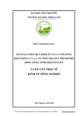 Luận văn thạc sĩ hay đánh giá hiệu quả kinh tế của cánh đồng một giống lúa lc 212 trên địa bàn thành phố sông công tỉnh thái nguyên