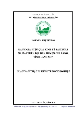 Luận văn thạc sĩ hay đánh giá hiệu quả kinh tế sản xuất na dai trên địa bàn huyện chi lăng tỉnh lạng sơn