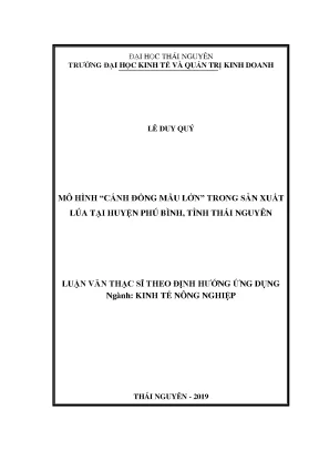 Luận văn thạc sĩ hay mô hình cánh đồng mẫu lớn trong sản xuất lúa tại huyện phú bình tỉnh thái nguyên