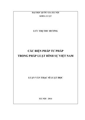 Luận văn thạc sĩ vnu ls các biện pháp tư pháp trong pháp luật hình sự việt nam