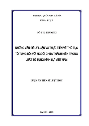 Luận văn thạc sĩ vnu ls những vấn đề lý luận và thực tiễn về thủ tục tố tụng đối với người chưa thành niên trong luật tố tụng hình sự việt nam