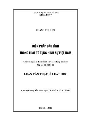 Luận văn thạc sĩ vnu ls biện pháp bảo lĩnh trong luật tố tụng hình sự việt nam