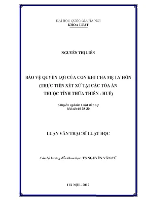 Luận văn thạc sĩ vnu ls bảo vệ quyền lợi của con khi cha mẹ ly hôn thực tiễn xét xử tại các toà án thuộc tỉnh thừa thiên huế