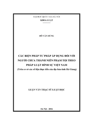 Luận văn thạc sĩ vnu ls các biện pháp tư pháp áp dụng đối với người chưa thành niên phạm tội theo pháp luật hình sự việt nam trên cơ sở các số liệu thực tiễn của địa bàn tỉnh hà giang