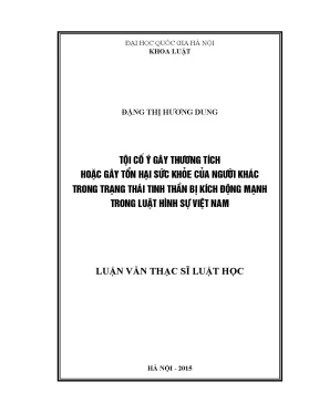 Luận văn thạc sĩ vnu ls tội cố ý gây thương tích hoặc gây tổn hại sức khỏe của người khác trong trạng thái tinh thần bị kích động mạnh trong luật hình sự việt nam