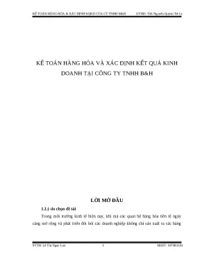 Luận văn kế toán hàng hóa và xác định kết quả kinh doanh tại công ty tnhh bh