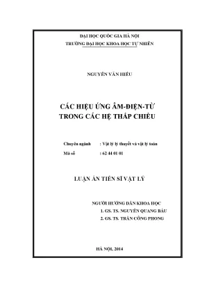 Luận án tiến sĩ hus các hiệu ứng âm điện từ trong các hệ thấp chiều