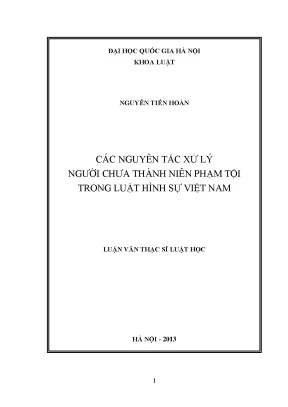 Luận văn thạc sĩ vnu ls các nguyên tắc xử lý người chưa thành niên phạm tội trong luật hình sự việt nam