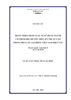 Luận văn thạc sĩ vnu ls hoàn thiện pháp luật về sử dụng người có trình độ chuyên môn kỹ thuật cao trong bộ luật lao động việt nam hiện nay