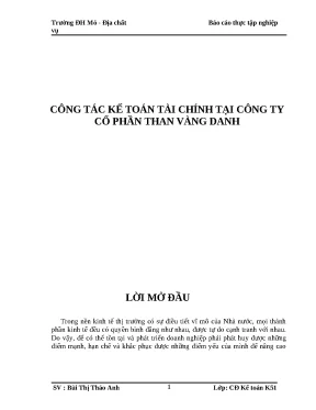 Luận văn công tác kế toán tài chính tại công ty cổ phần than vàng danh