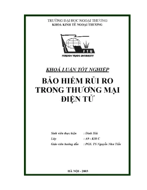 Khóa luận tốt nghiệp bảo hiểm rủi ro trong thương mại điện tử