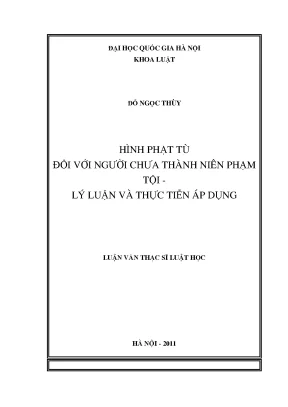 Luận văn thạc sĩ vnu ls hình phạt tù đối với người chưa thành niên phạm tội lý luận và thực tiễn áp dụng